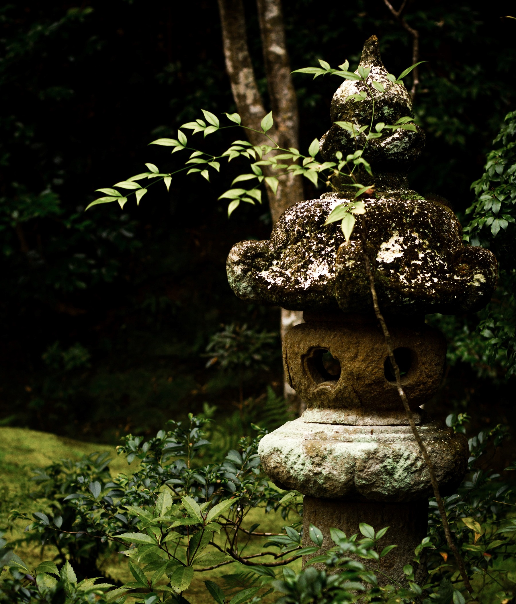 Admission Photo_replace_ garden pic (1)